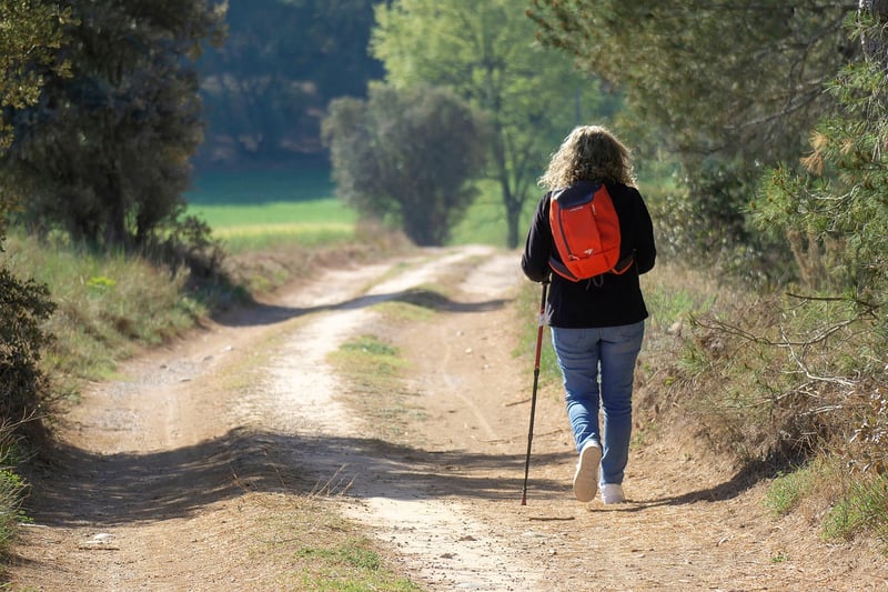 Wellness Journeys